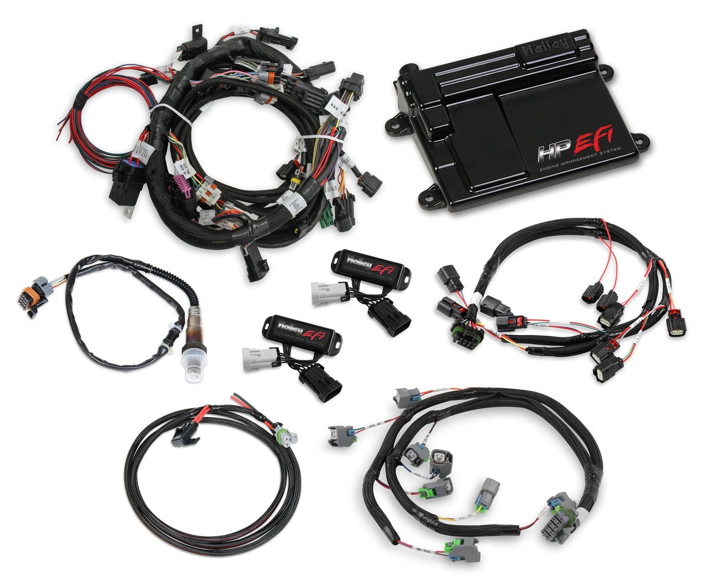 Ford Coyote Ti-VCT Capable HP EFI Kit, Bosch O2