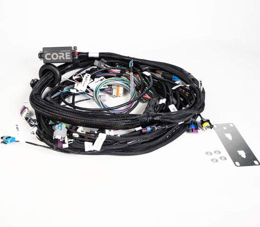 CORE ECU Harnesses