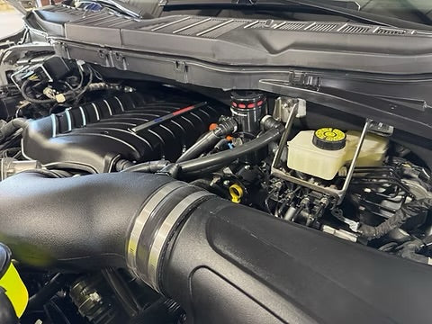 5.0 F150 mild