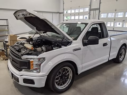 5.0 F150 mild