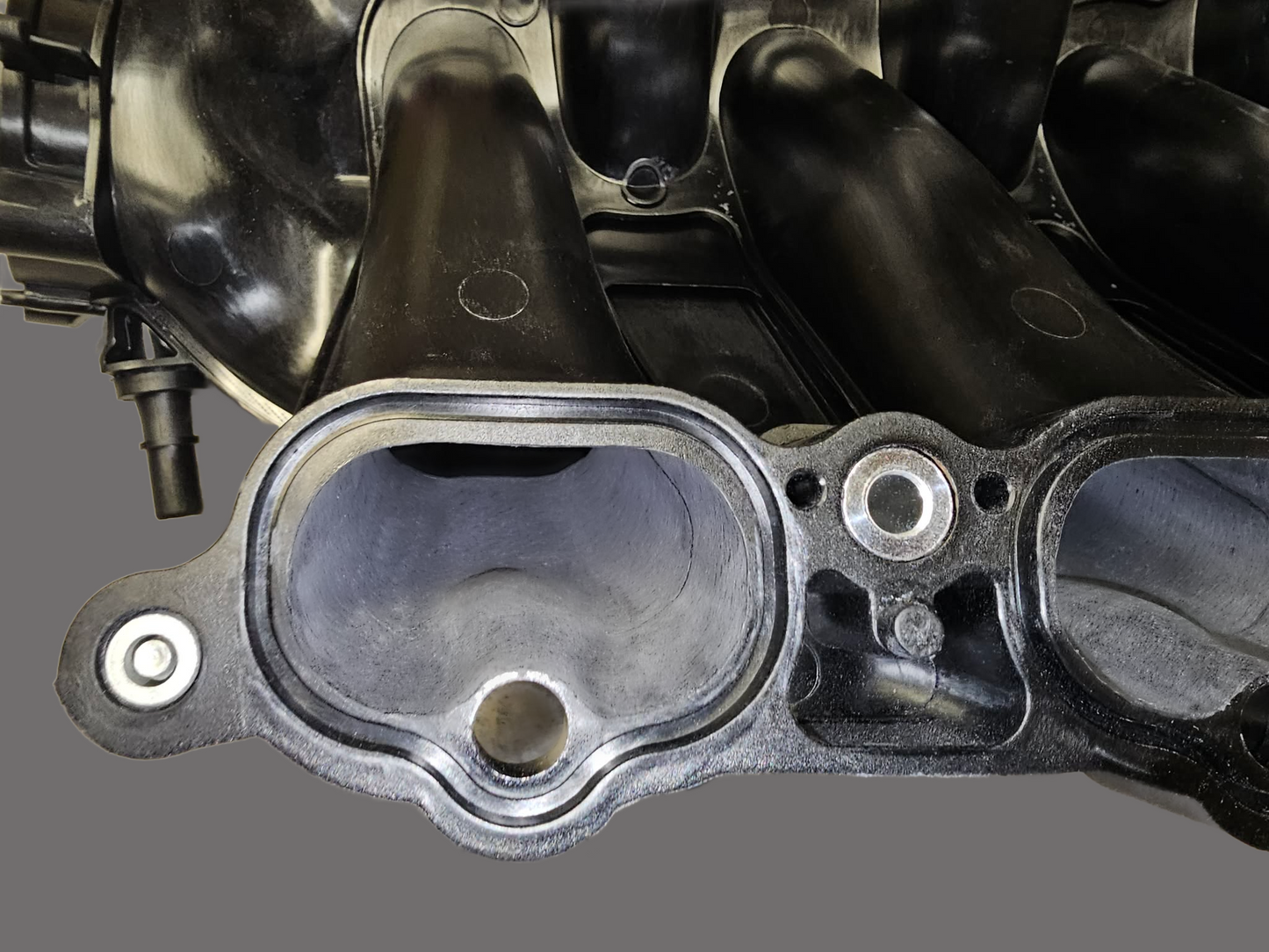 Ported Mafia Boss Manifold for 5.0L Mustangs and F150s